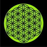 TEKNOSHOP Flower of Life tekno tričko s potiskem pánské