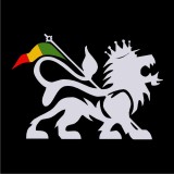 TEKNOSHOP RASTA LION dnb tričko s potiskem pánské